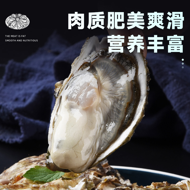 特大乳山生蚝鲜活海蛎子新鲜水产贝类顺丰包活牡蛎即食商用-图0