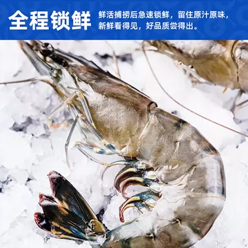 超便宜！龙霸特大黑虎虾2斤装[38元优惠券]-寻折猪