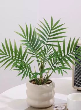 仿真绿植摆件假花拍摄道具桌面仿生植物家居装饰品小型盆栽发财树