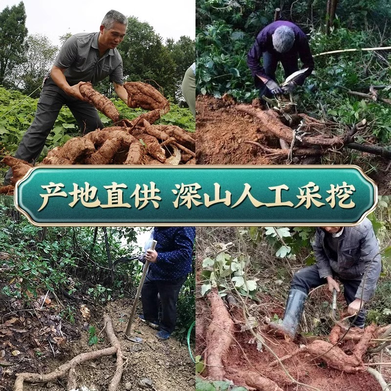 南京同仁堂葛根粉天然野生纯葛粉柴葛根无蔗糖代餐正品旗舰店山药 - 图2