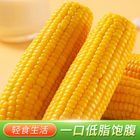 一支鲜东北黄糯甜玉米10支共2200g