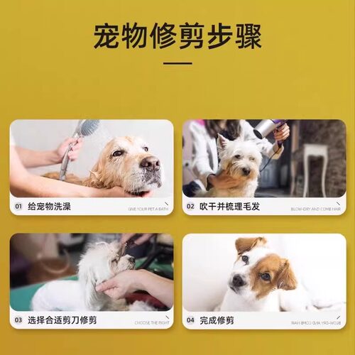 宠物美容剪刀狗狗剪毛工具套装专业修毛剪狗毛弯剪子泰迪理发神器 - 图3