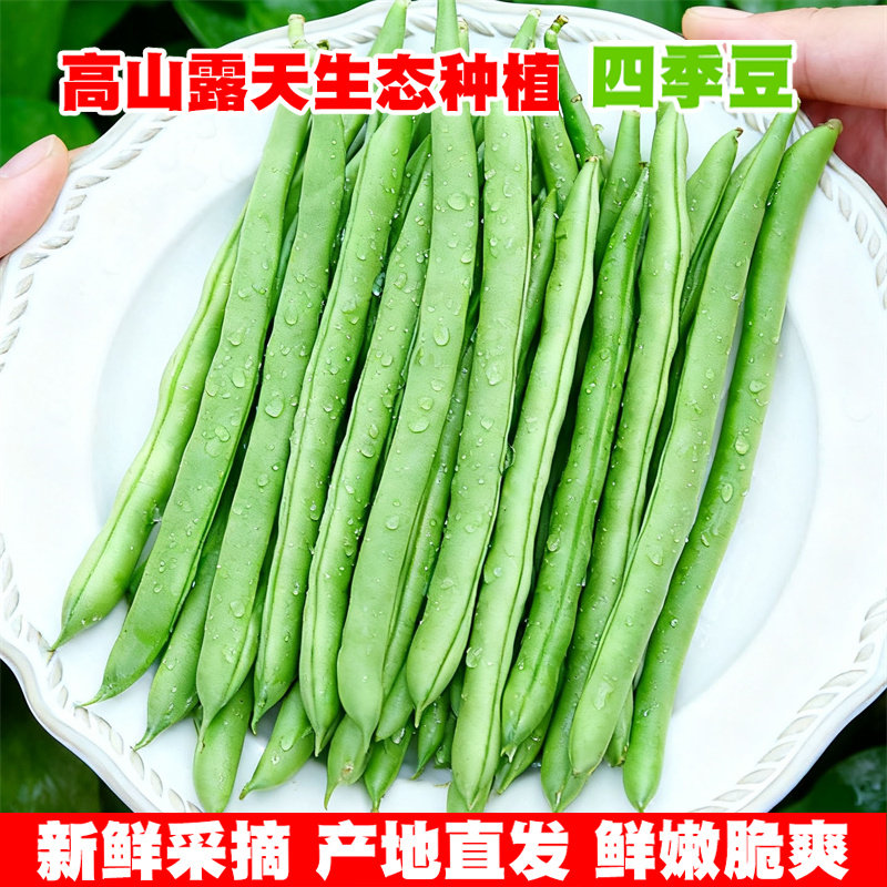 云南四季豆新鲜现摘油豆角露天种植无筋豆嫩豇豆当季农家时令蔬菜,淘宝优惠券,粉丝福利购,淘宝优惠卷