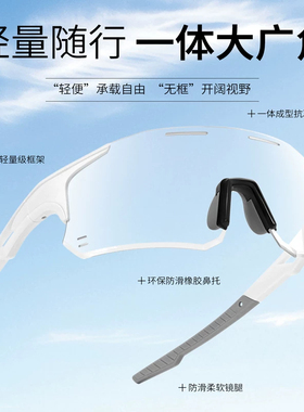骑行眼镜防雾变色日夜两用户外登山运动防风跑步专用自行车护目镜
