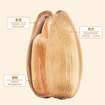 13.6【心里美】打手白皮瓜子2斤净含量！！[3元优惠券]-寻折猪