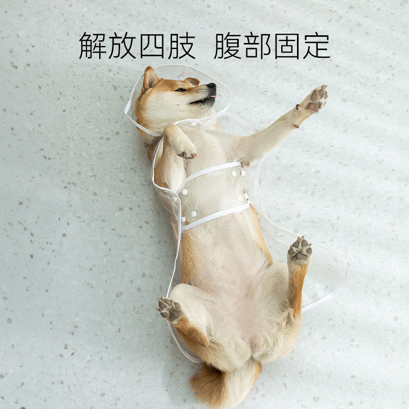 小狗狗雨衣泰迪专用中型小型犬柴犬透明雨披防水柯基宠物衣服雨天 - 图2