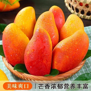 海南贵妃芒树上熟三亚芒果当季新鲜水果自然成熟特大果辣椒芒