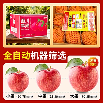 正宗陕西洛川苹果净重4.5斤[1元优惠券]-寻折猪