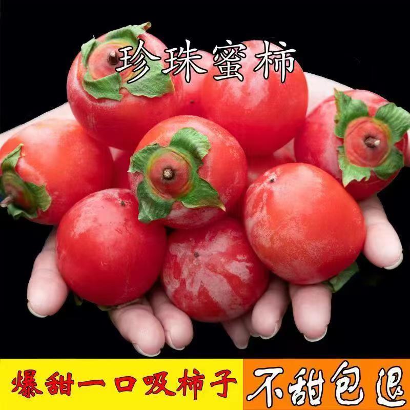 正宗软柿子流心火晶柿子冰糖当季新鲜水果应季蜜柿整箱包邮水果