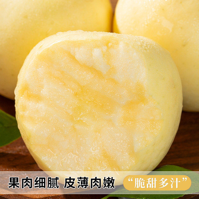 山东烟台黄金奶油富士苹果当季正宗奶油苹果9整箱包邮时令斤鲜果