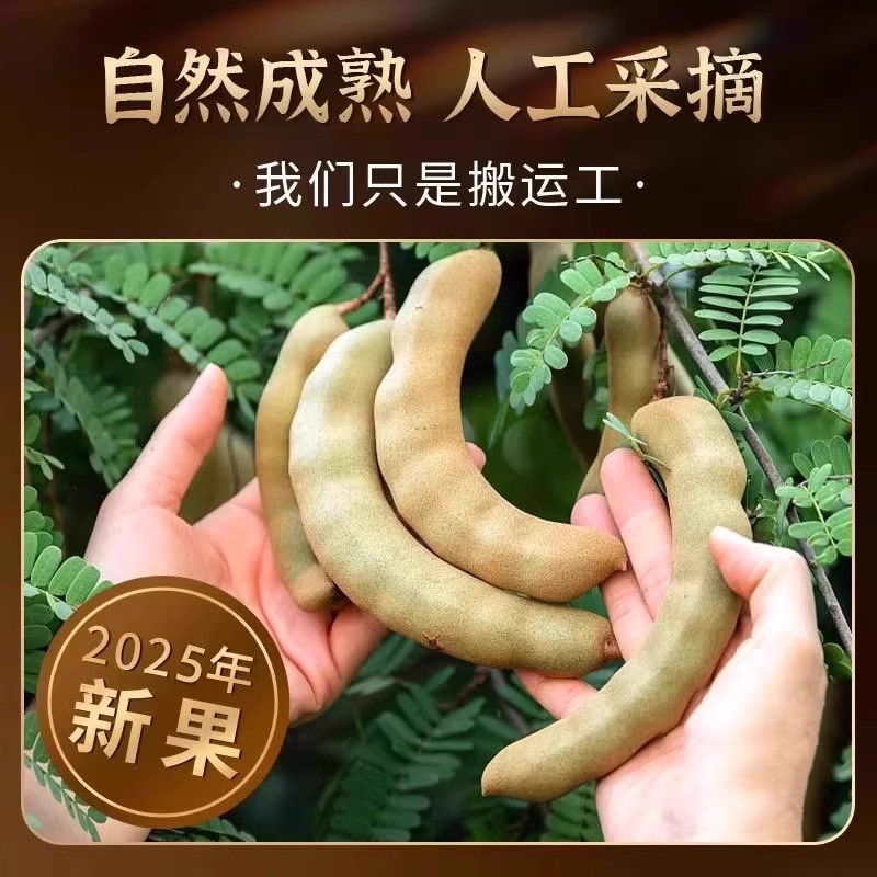 甜酸角云南特产旗舰店新鲜野生大果去壳酸甜开胃休闲零食带壳水果,淘宝优惠券,粉丝福利购,淘宝优惠卷