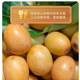 Yirenjia Wild Dates Granules 500g | Thousands of people repurchase