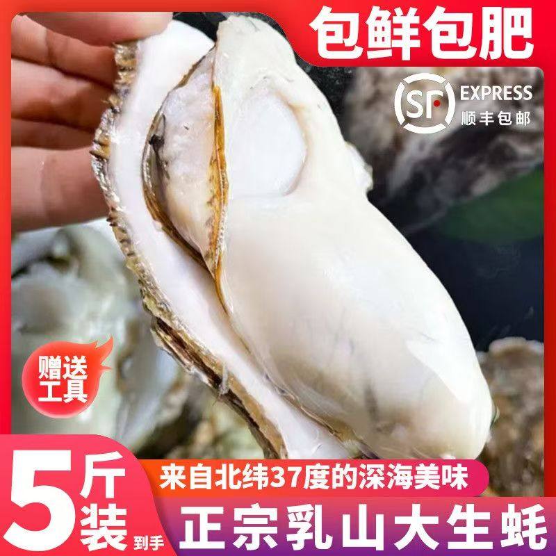 正宗乳山生蚝产地直发带防伪码现货生蚝5斤装海蛎子牡蛎包活,淘宝优惠券,粉丝福利购,淘宝优惠卷