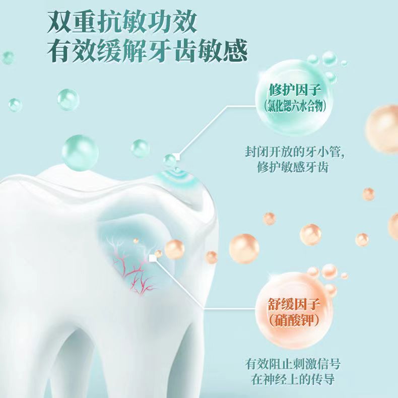 冷酸灵牙膏专研抗敏清新口气炭成人护龈洁白家庭装敏感单品抗糖 - 图2