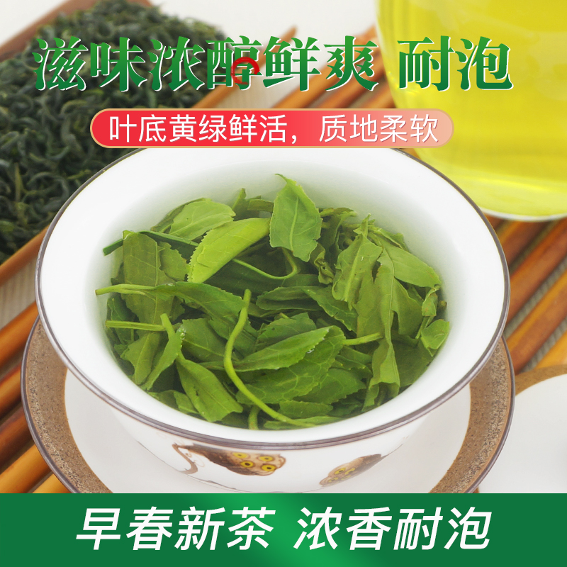 碧螺春茶叶2024新茶浓香型绿茶毛尖散装高山云雾茶正宗袋装有嫩芽 - 图2