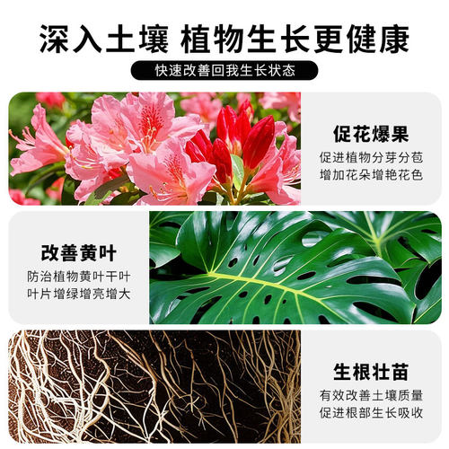 发酵豆粕有机肥料颗粒植物盆栽花肥料大豆发酵颗粒肥家庭蔬菜菌肥 - 图0