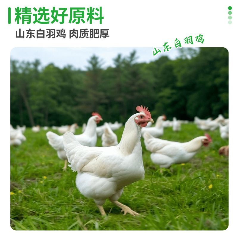 Liuhe duck product combination fresh frozen raw duck meat duck heart duck liver duck offal pet snacks duck breast universal for cats and dogs