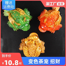 Tea spotting piece of tea Golden Toad Tea Play Tea Tray Tea Tray Tea Tray Accessories leopard Nourishing Golden Cicada Chamelea Tea Pet