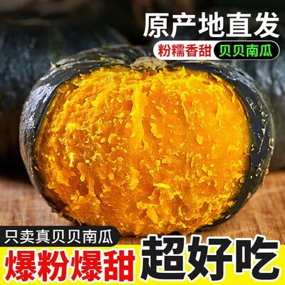 正宗山东贝贝南瓜新鲜板栗味南瓜栗面瓜婴儿辅食孕妇粉糯香甜南瓜