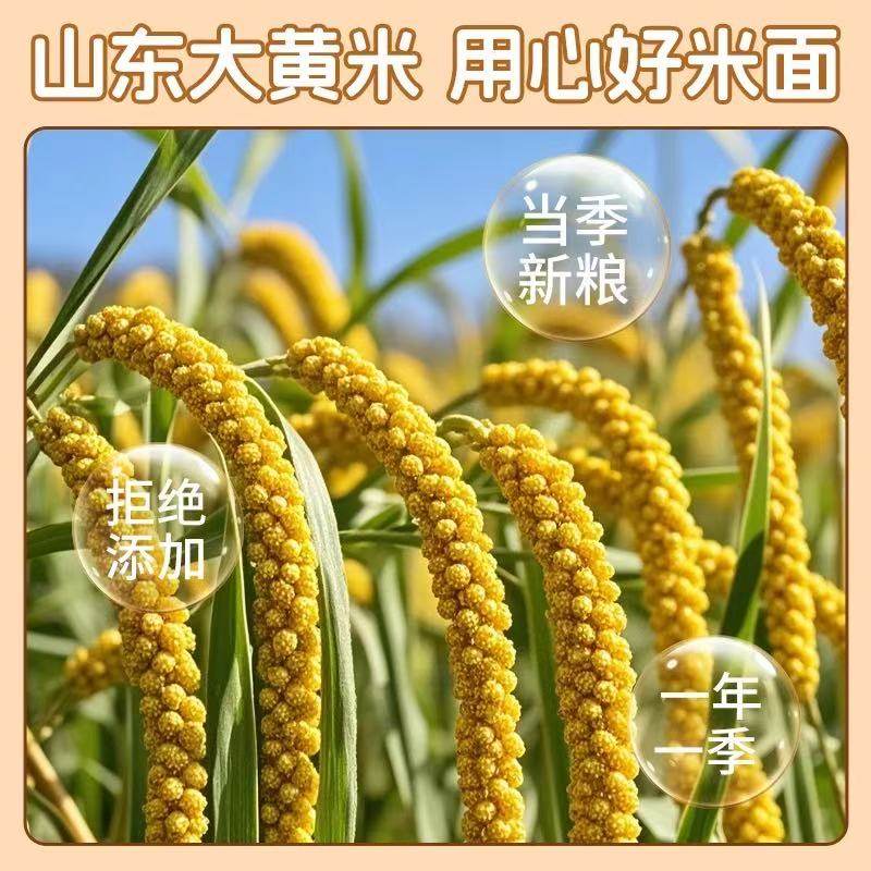 新磨正宗大黄米面粉粘豆包年糕山西特产油炸糕黍子黄米面5斤东北,淘宝优惠券,粉丝福利购,淘宝优惠卷