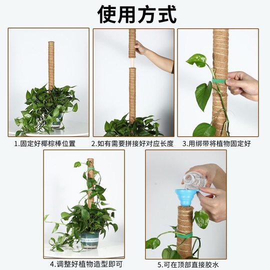 绿萝柱椰棕棒龟背竹支架爬藤植物支撑绿植盆栽支撑杆棕榈柱固定