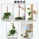 绿萝柱椰棕棒龟背竹支架爬藤植物支撑绿植盆栽支撑杆棕榈柱固定