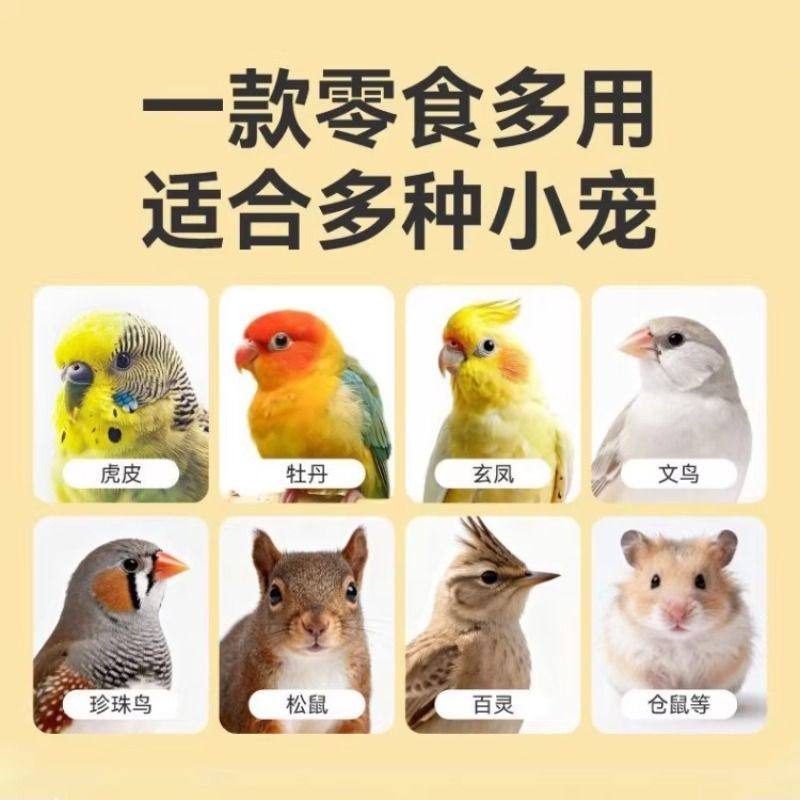 新油葵黑瓜子鹦鹉鸟粮饲料玄凤牡丹营养瓜子零食靓羽美毛新货训练,淘宝优惠券,粉丝福利购,淘宝优惠卷