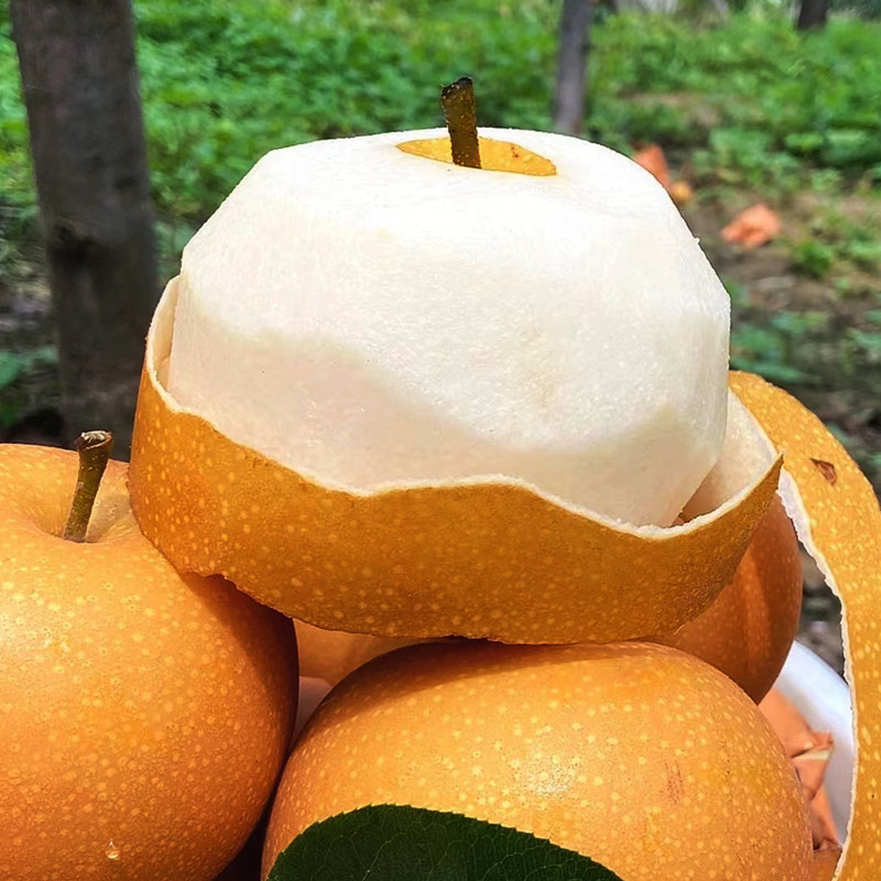 秋月梨脆甜多汁产地直发正宗莱阳秋月梨新鲜采摘皮薄肉厚化渣礼盒,淘宝优惠券,粉丝福利购,淘宝优惠卷