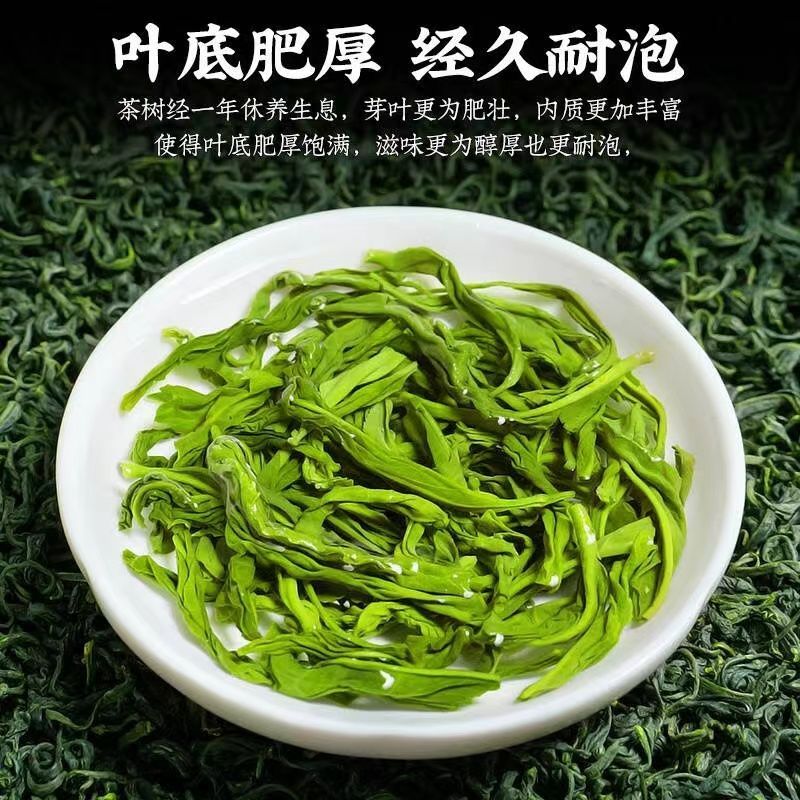 热卖中高山云雾绿茶2024新茶明前浓香袋装茶叶批发直销散装一级 - 图0