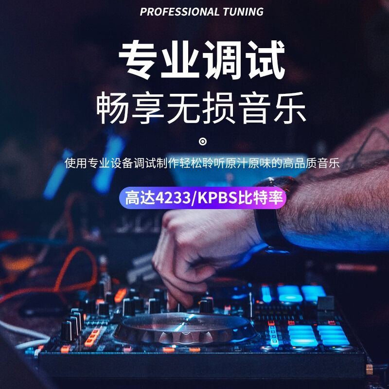 汽车载u盘抖音2024高品质无损音质usb网红流行音乐dj经典音响环绕 - 图2