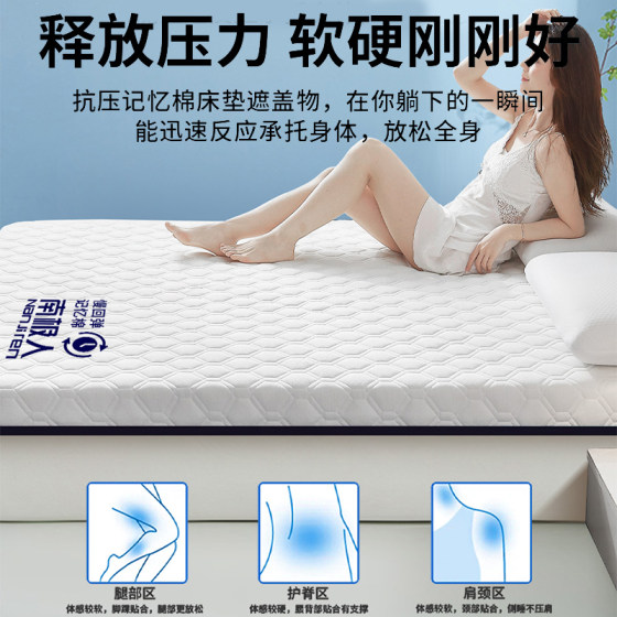 Antarctic Thai Latex Mattress Upholstery Cover