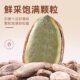 Recommended by Yangma! Special large-sized melon seeds