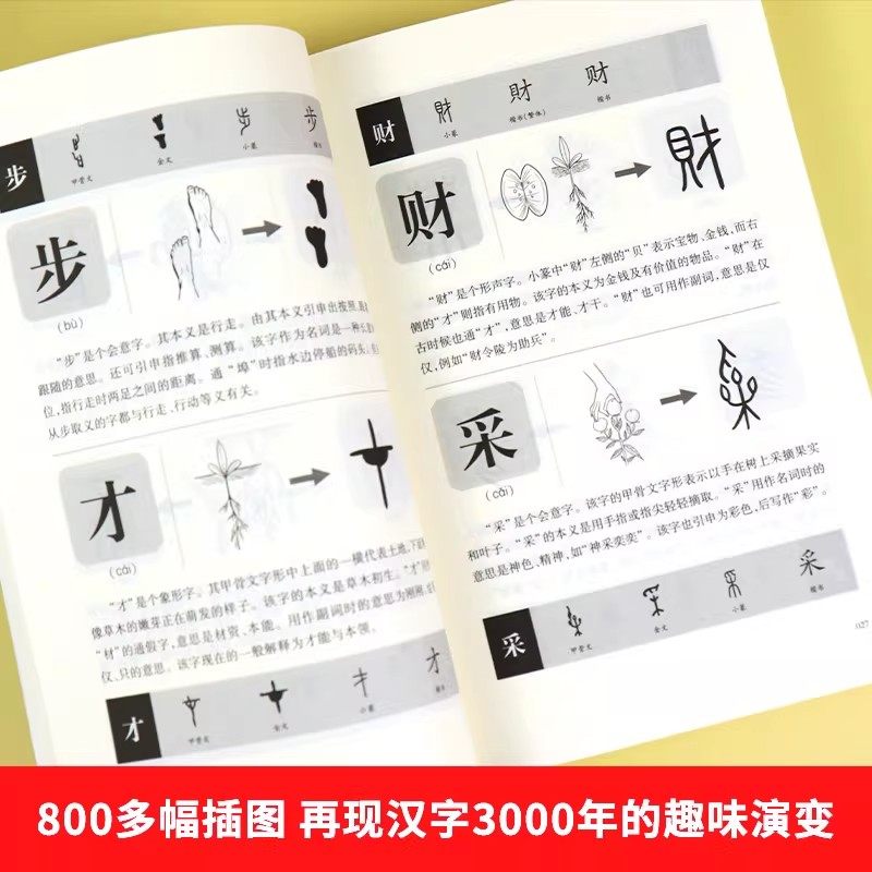 【正版现货】说文解字 给孩子的汉字王国说文解字详解正版象形文字演变书图解中小学生版注音版儿童读物课外书籍畅销书排行榜,淘宝优惠券,粉丝福利购,淘宝优惠卷