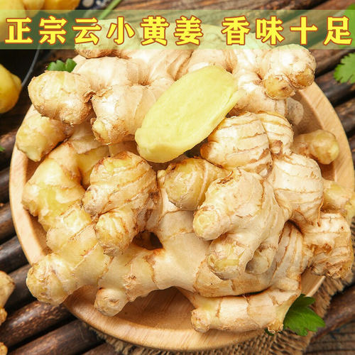 正宗云南新鲜当季小黄姜生姜干老姜嫩姜土姜子姜现挖高山沙姜去腥 - 图2
