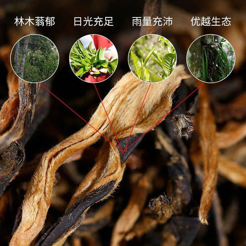 古树滇红云南凤庆正宗蜜香滇红茶头春新茶浓香耐泡1500g大份量,淘宝优惠券,粉丝福利购,淘宝优惠卷