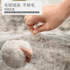 ковер 地毯卧室客厅满铺可爱房间床边毯茶几沙发ins简约现代长方形地垫