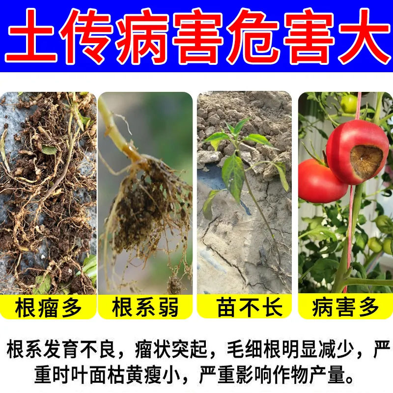 农用土壤杀菌剂土传专用快速消毒杀菌抗重茬根腐菌剂微生物免稀释 - 图2