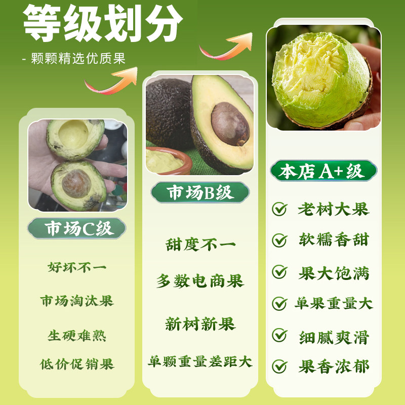 顺丰云南孟连哈斯牛油果新鲜水果大果15个当季即食一级鳄梨糯国产,淘宝优惠券,粉丝福利购,淘宝优惠卷