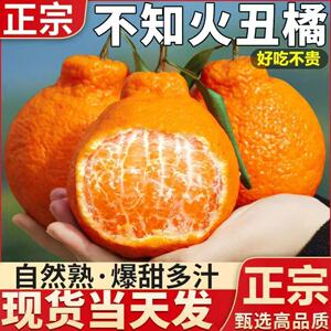 四川不知火丑橘高山耙耙柑彩箱8斤超大果桔子橙子丑八怪水果现摘