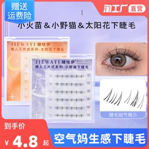 Lower Eyelash Fake Eyelash Small Fire Fry Sloth Sloppy Sun Flowers Little Wildcat Nature Emulation Transparent Stalk Three-Piece Eyelash