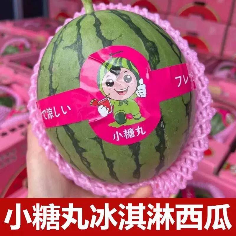 现摘新鲜小西瓜2K4K西瓜手撕薄皮一整箱有籽无籽水果冰淇淋糖丸