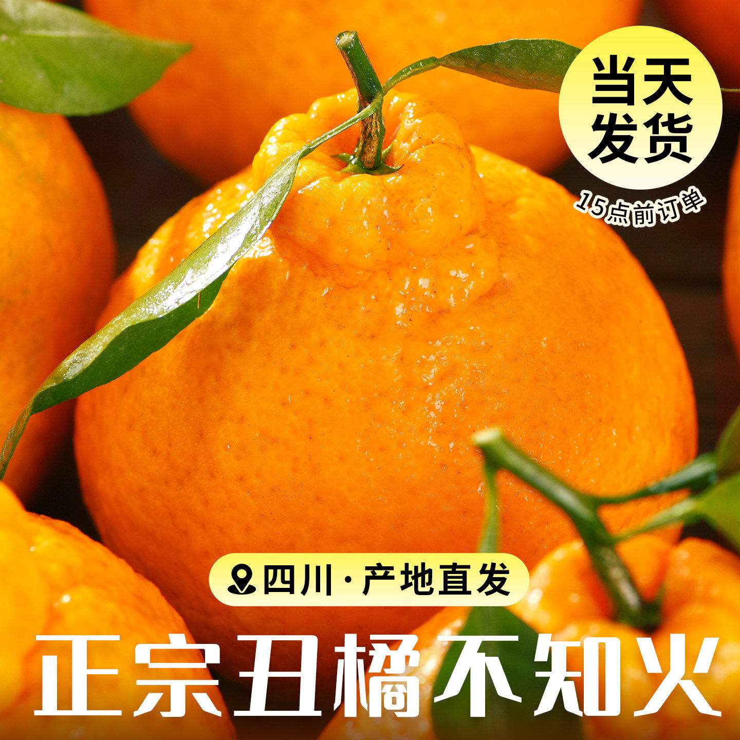 四川丑橘水果新鲜当季桔子耙耙粑粑丑柑橘子