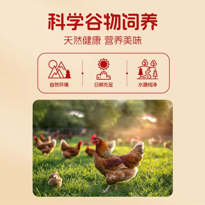 【送货上门】可生食国际认证新30枚红礼盒大个鲜鸡蛋营养食材蛋