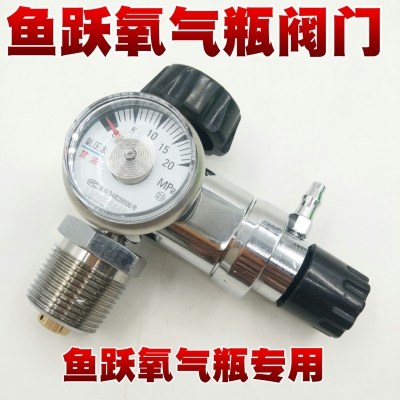 鱼跃牌医用氧气瓶阀门开关阀 减压器配件流量压力表减压阀接头,淘宝优惠券,粉丝福利购,淘宝优惠卷