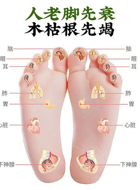 小型脚底悬灸筒滤烟款全身通用穴位关节艾灸盒膝盖足三里艾灸罐子