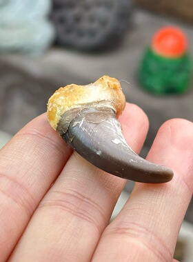 纯银动物爪子包银套爪子熊勾子鹰爪子钩子银套防裂保护银套吊坠