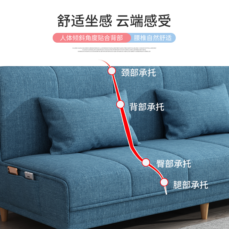 小户型沙发床两用可折叠客厅多功能简易布艺经济型出租房网红款龙-图2