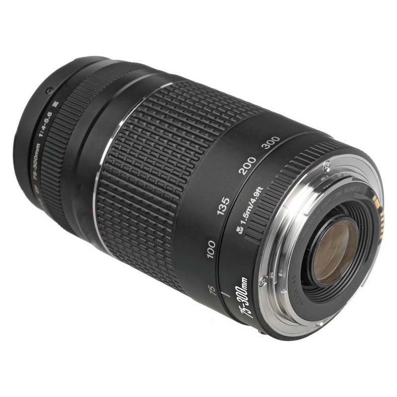 佳能 EF 75-300mm f/4-5.6 三代远摄打鸟全画幅长焦变焦单反镜头 - 图0