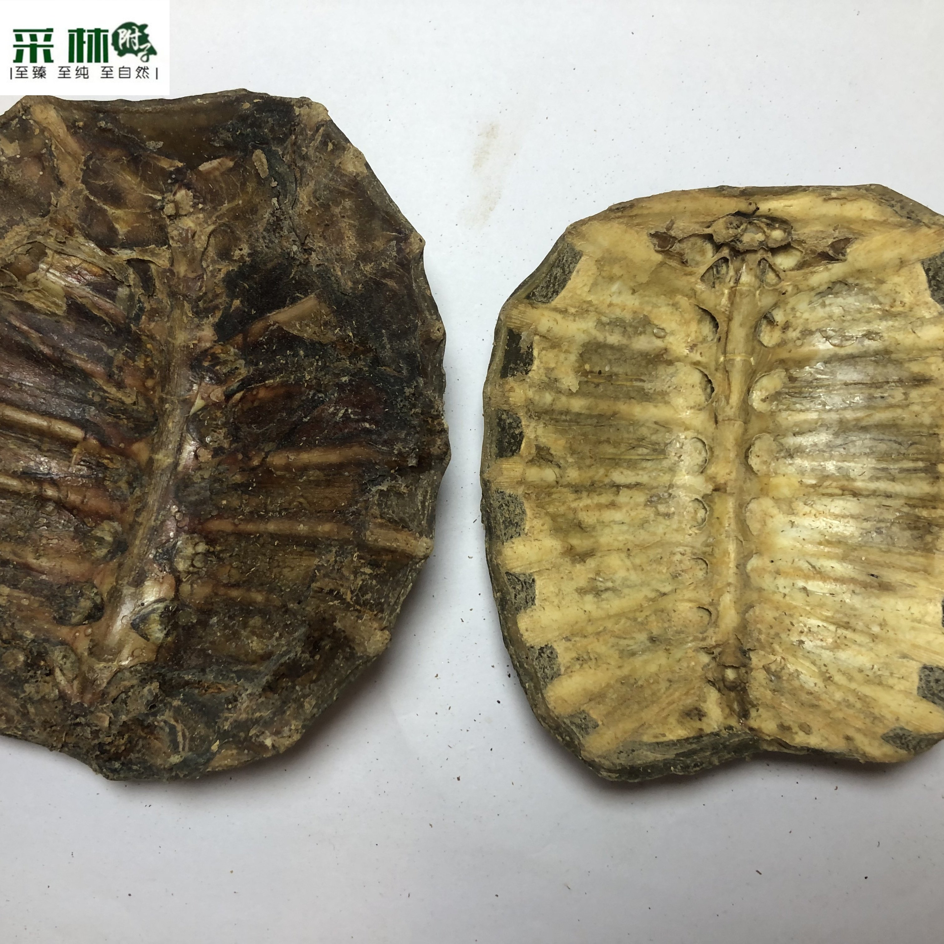 生鳖甲 四川优质炒鳖甲生炒带肉带血未煮的鳖甲非回收鳖甲,淘宝优惠券,粉丝福利购,淘宝优惠卷