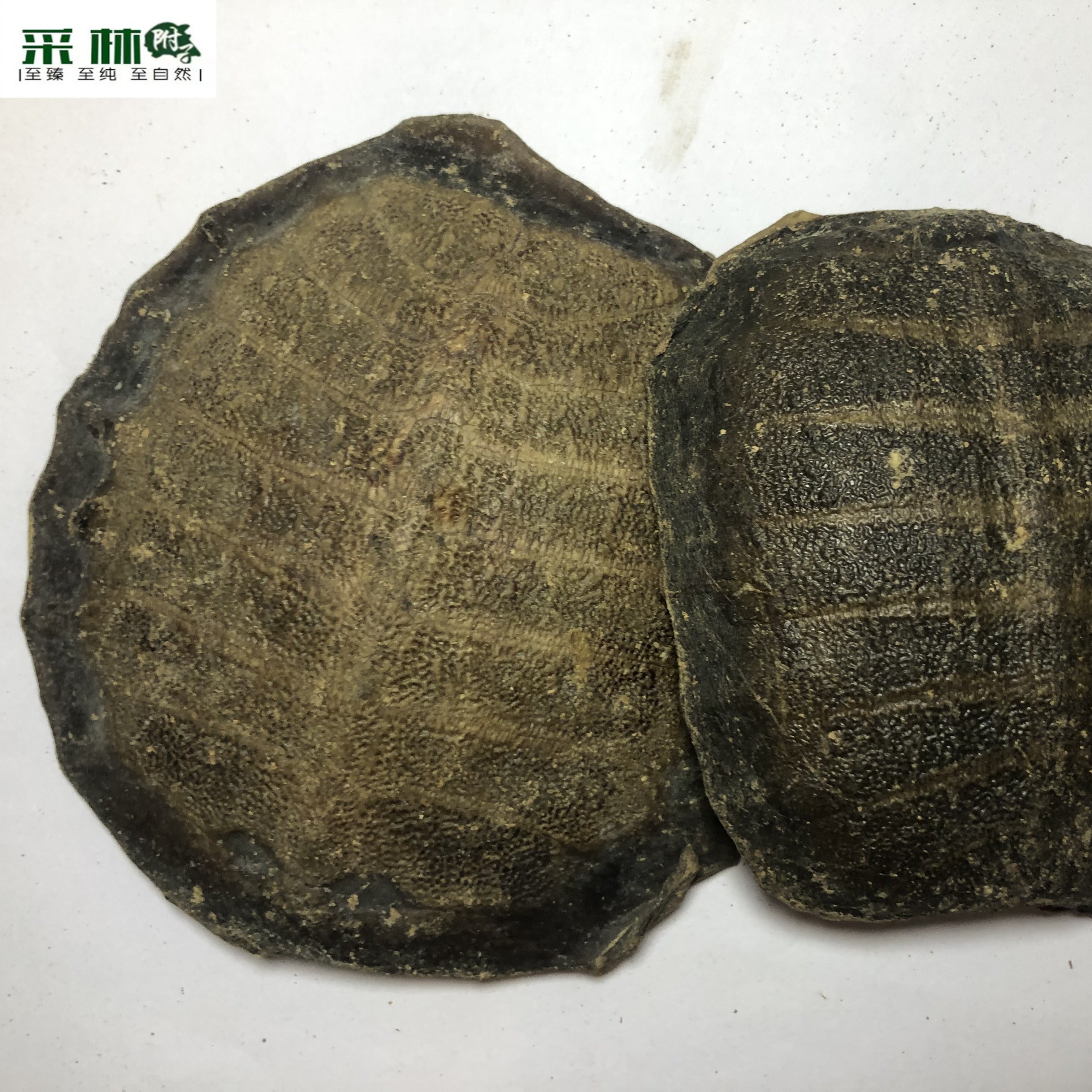 生鳖甲 四川优质炒鳖甲生炒带肉带血未煮的鳖甲非回收鳖甲,淘宝优惠券,粉丝福利购,淘宝优惠卷